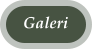 Galeri