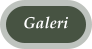 Galeri